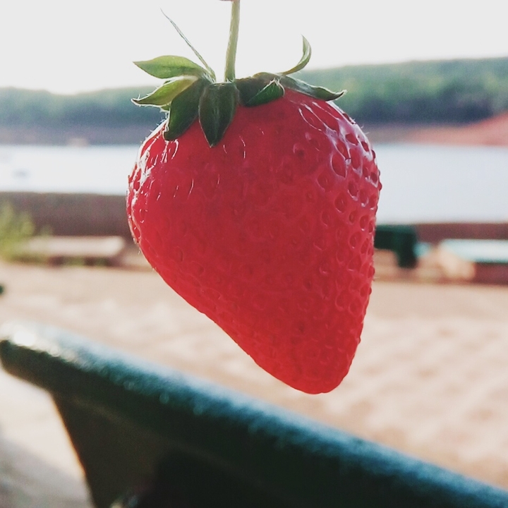 strawberry