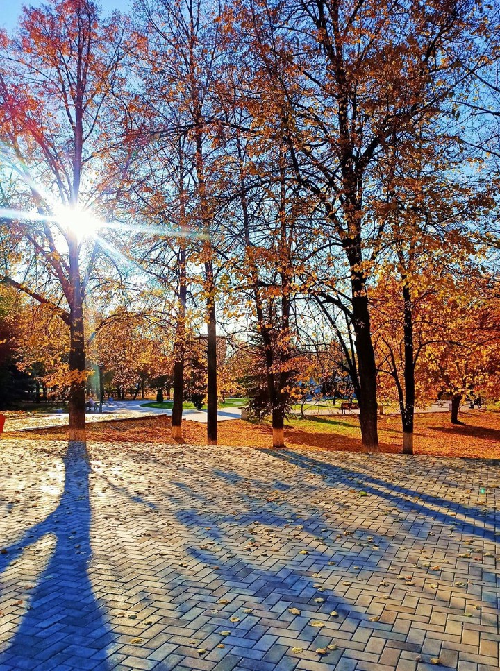 осень