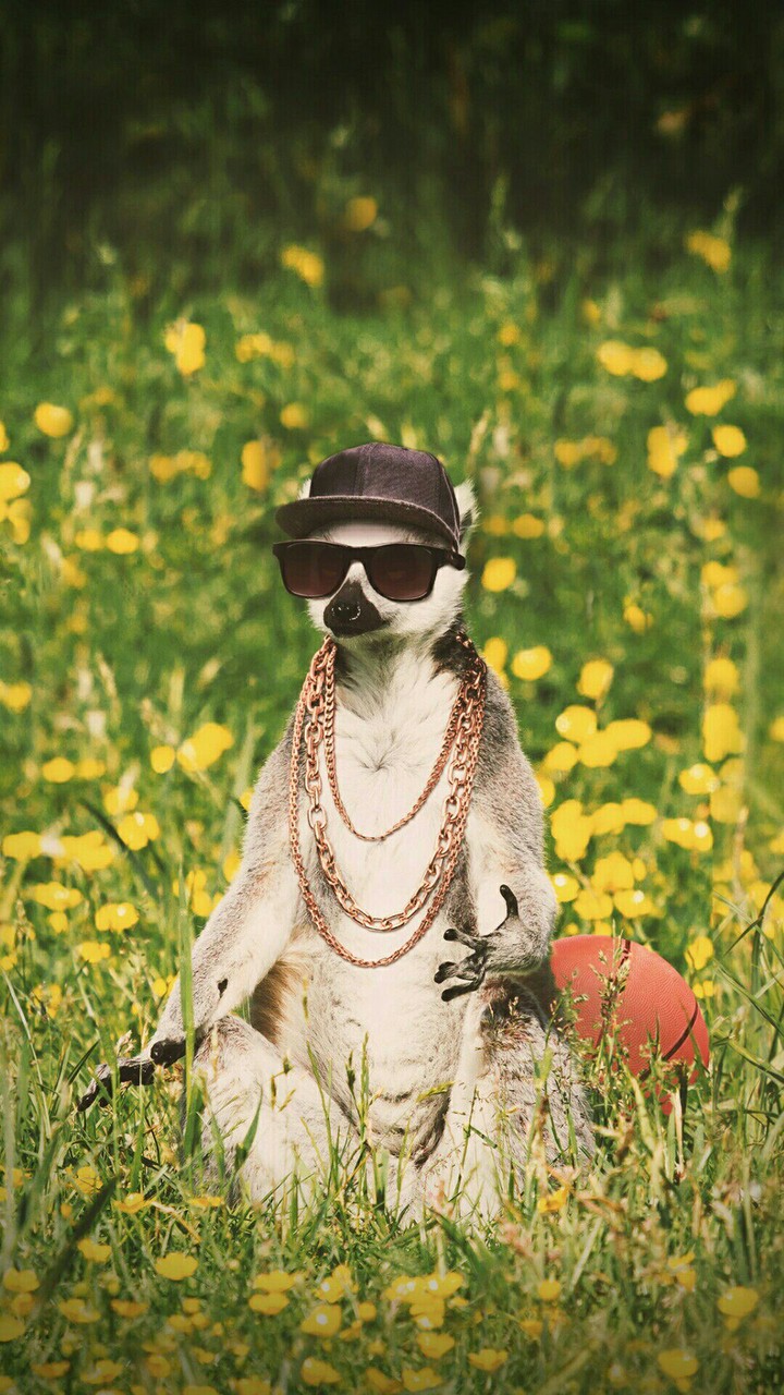 baba