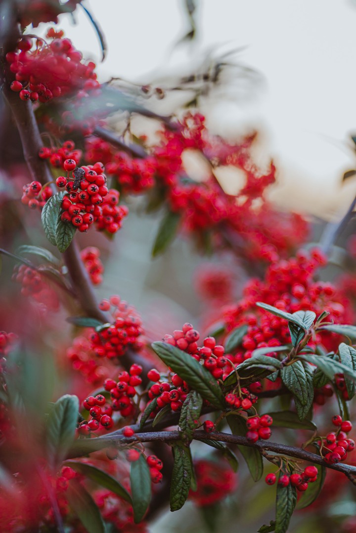 ,,,,