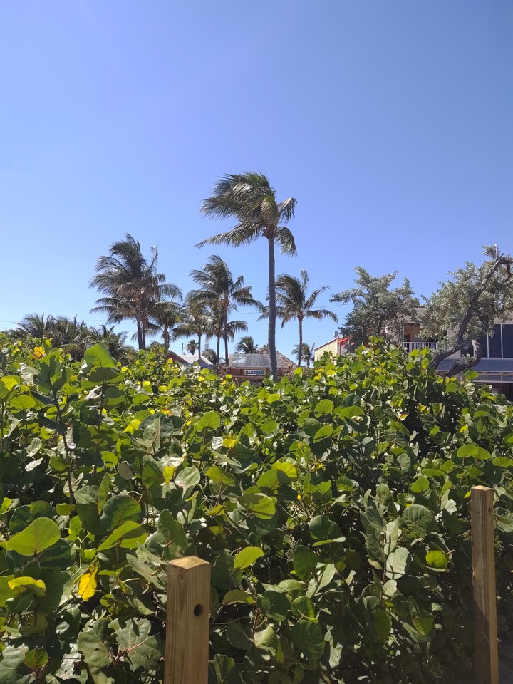 Delray Beach
