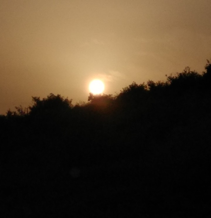 sun