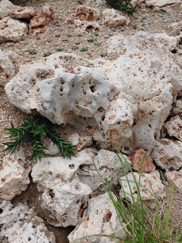 rock(stone)