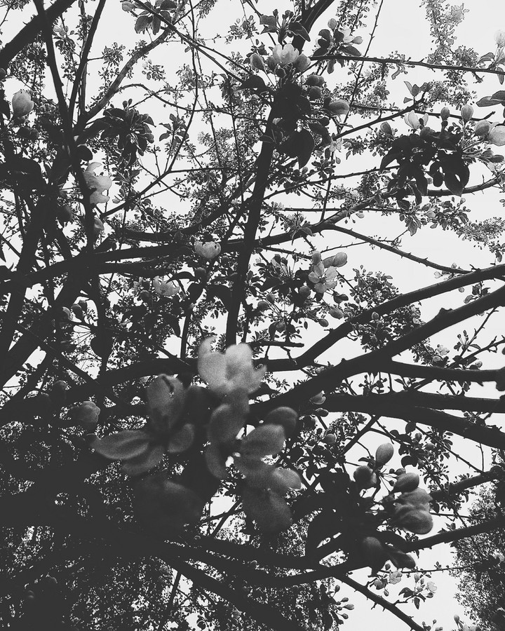 in the mood for sadness.