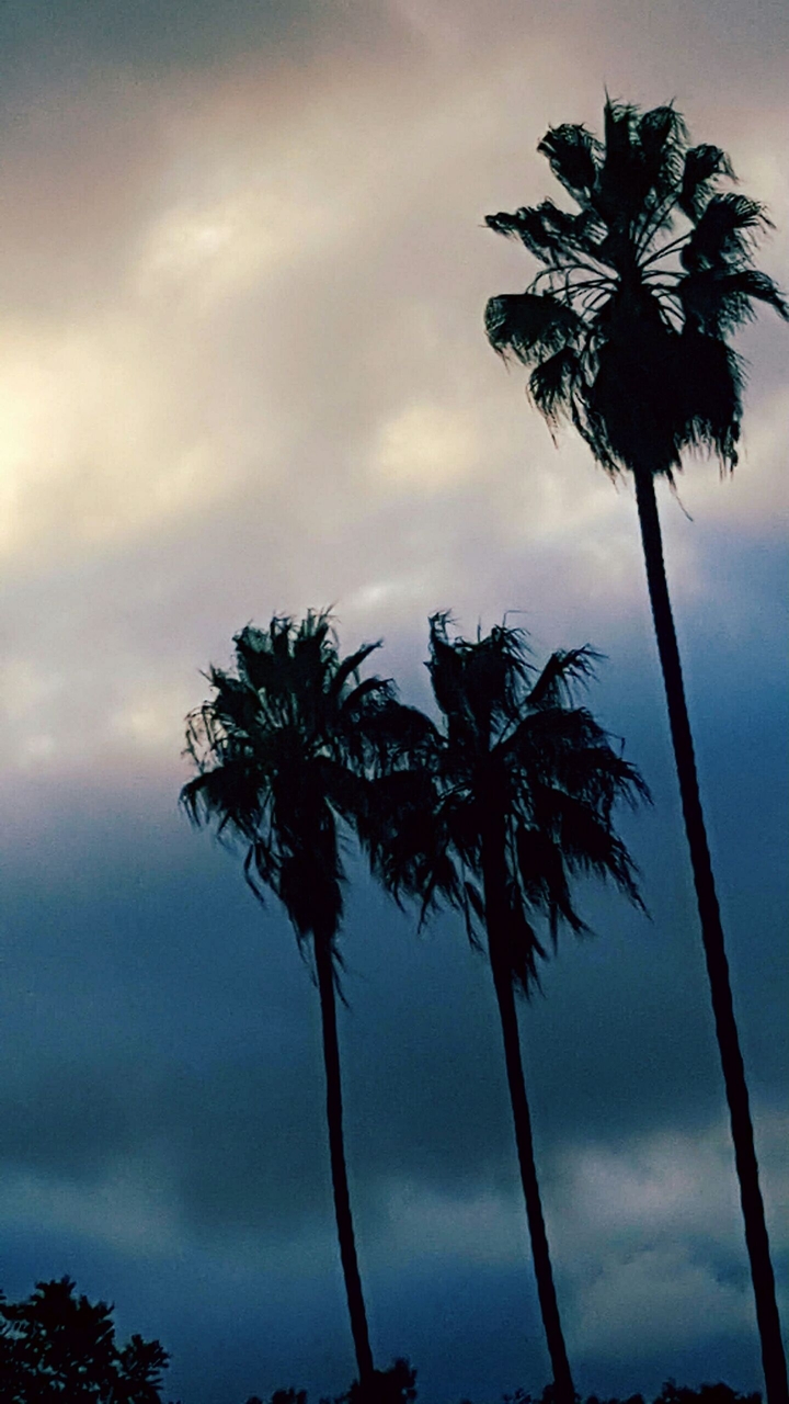Cloudy California