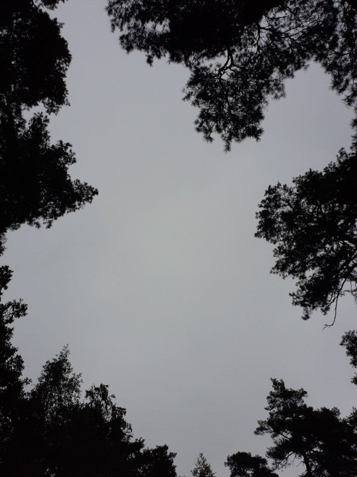 лем