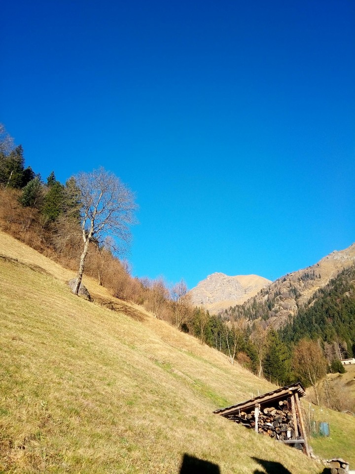 Paesaggio montagne