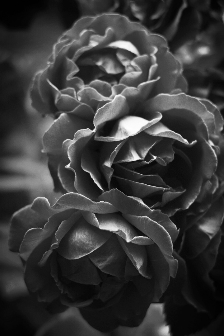 black&white