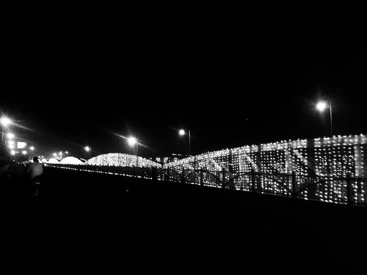 Elise Bridge