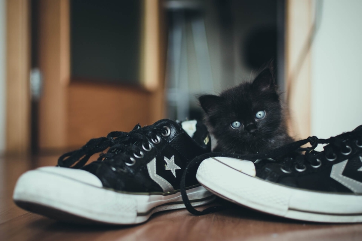 ⭐