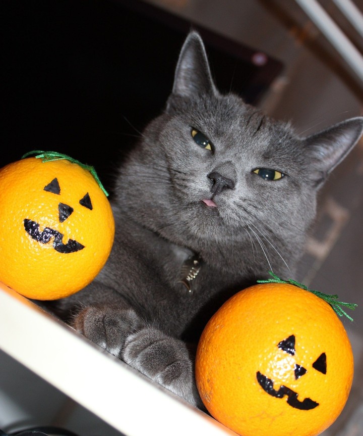 Happy halloween
