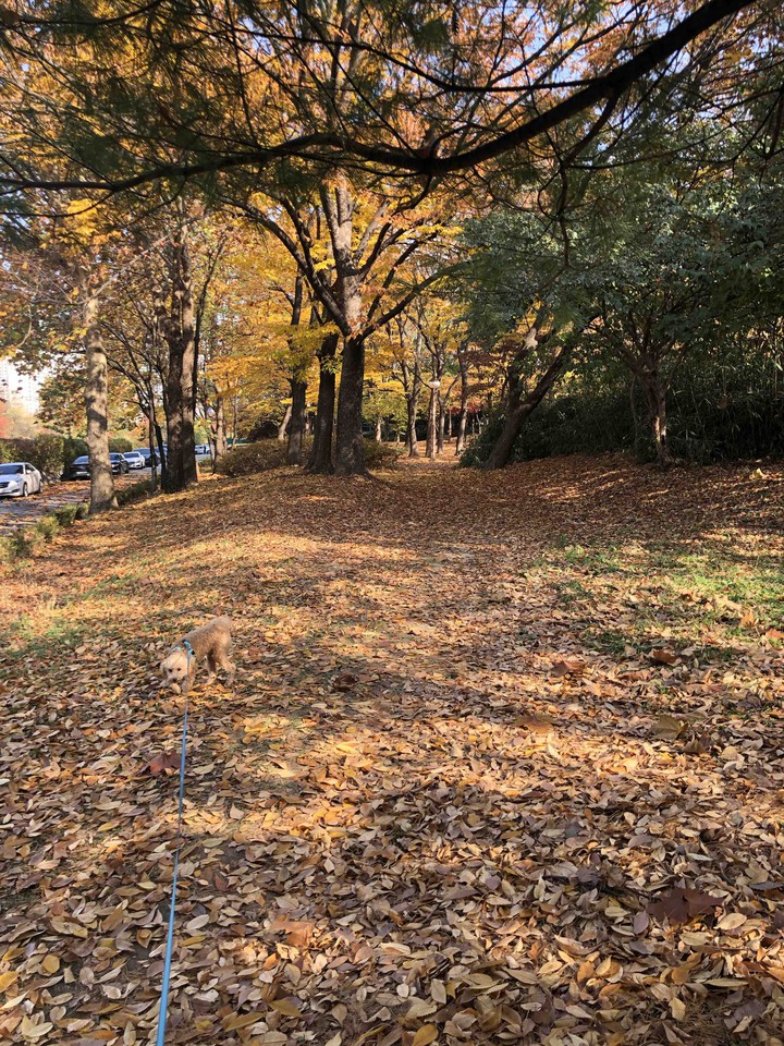 fall