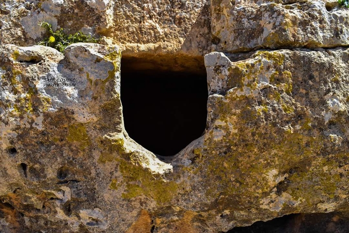 ruine de préhistoire à tebessa