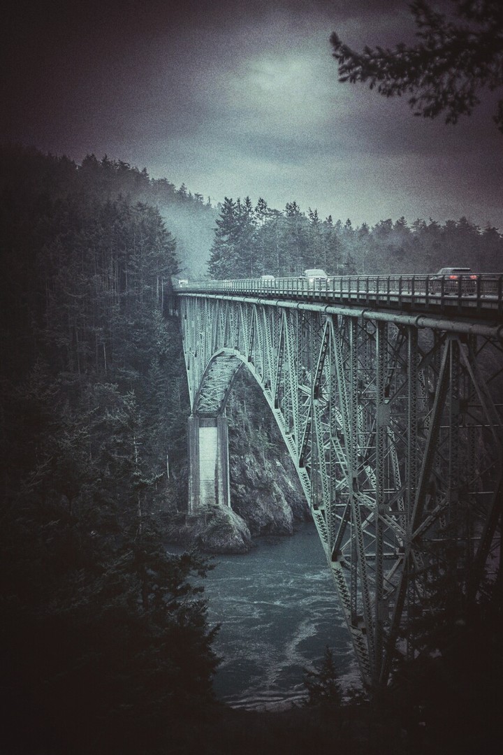 bridge with bones