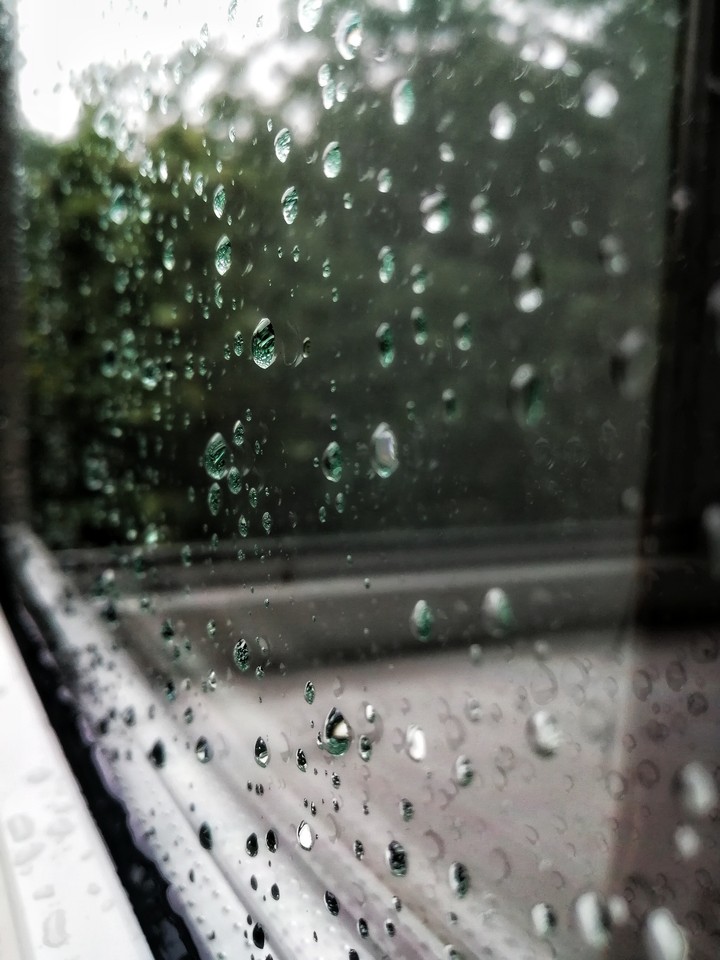 Rain