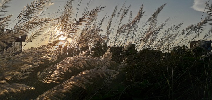 Sunset!