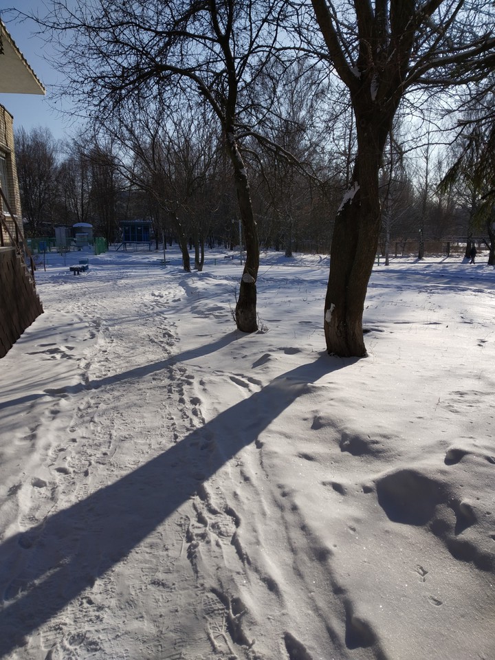 Зима