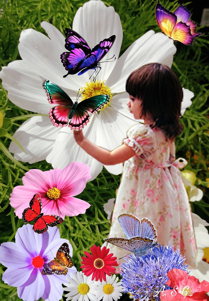 Schmetterlinge und Blumen