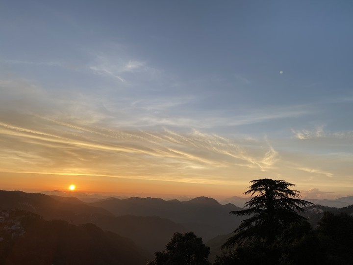 Shimla Dairy