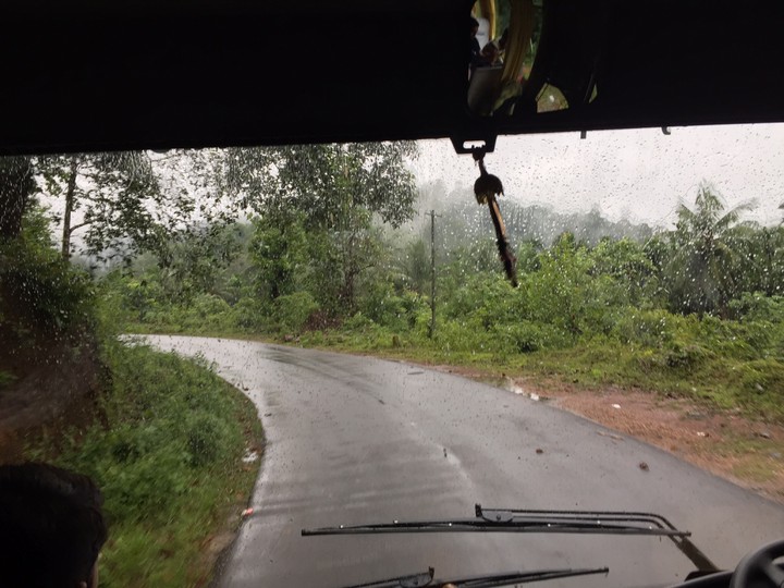 windshield