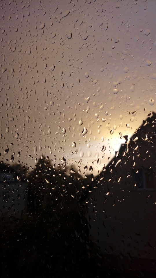 Rain