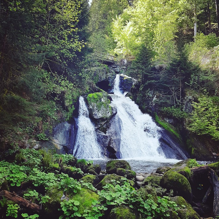Wasserfall Schwarzwald