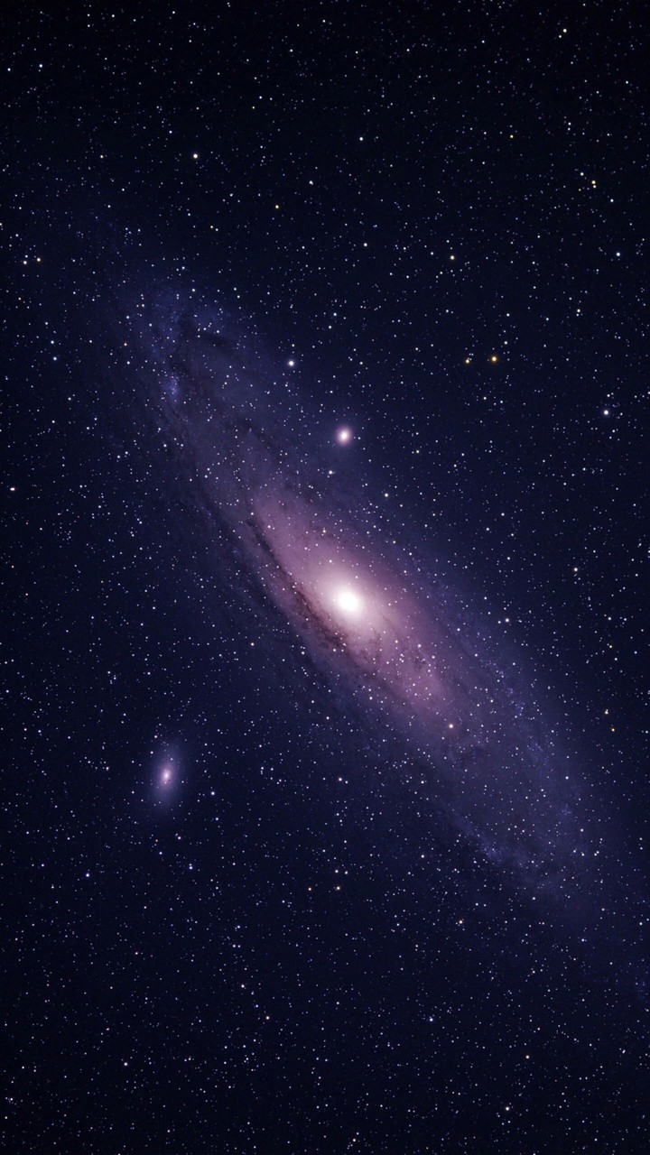 I.A