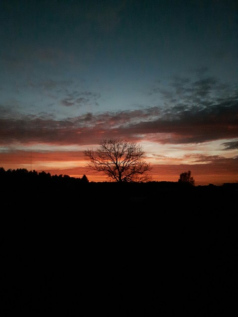 Evening