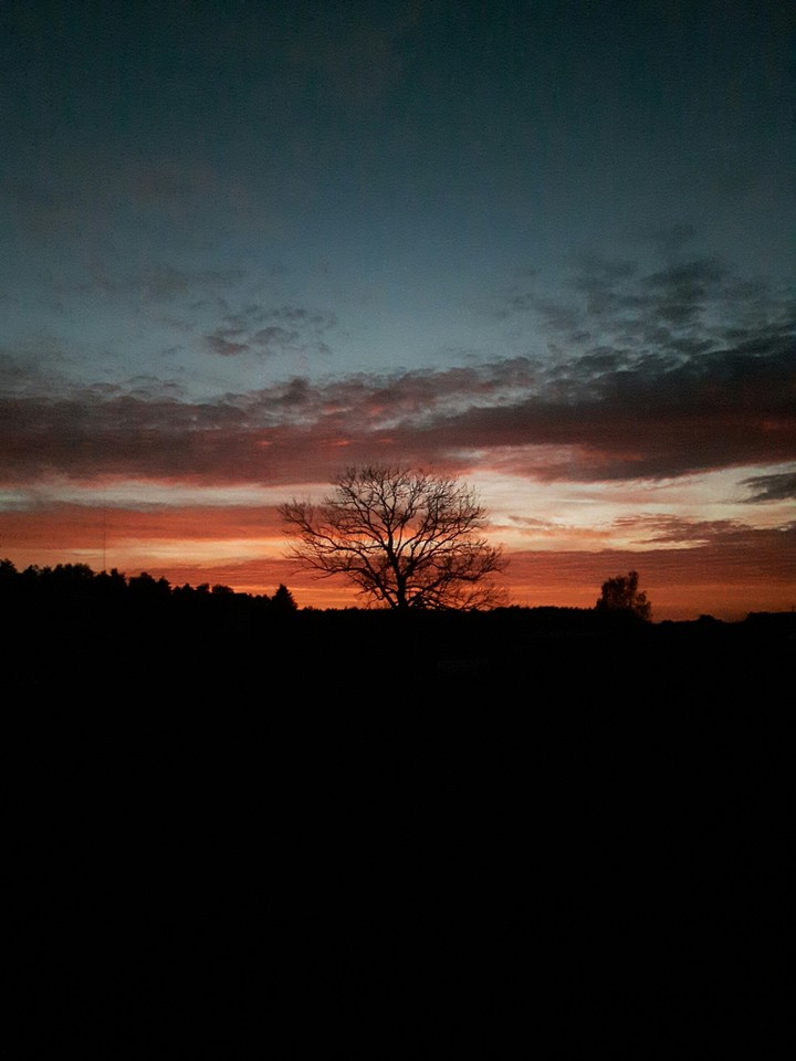 Evening