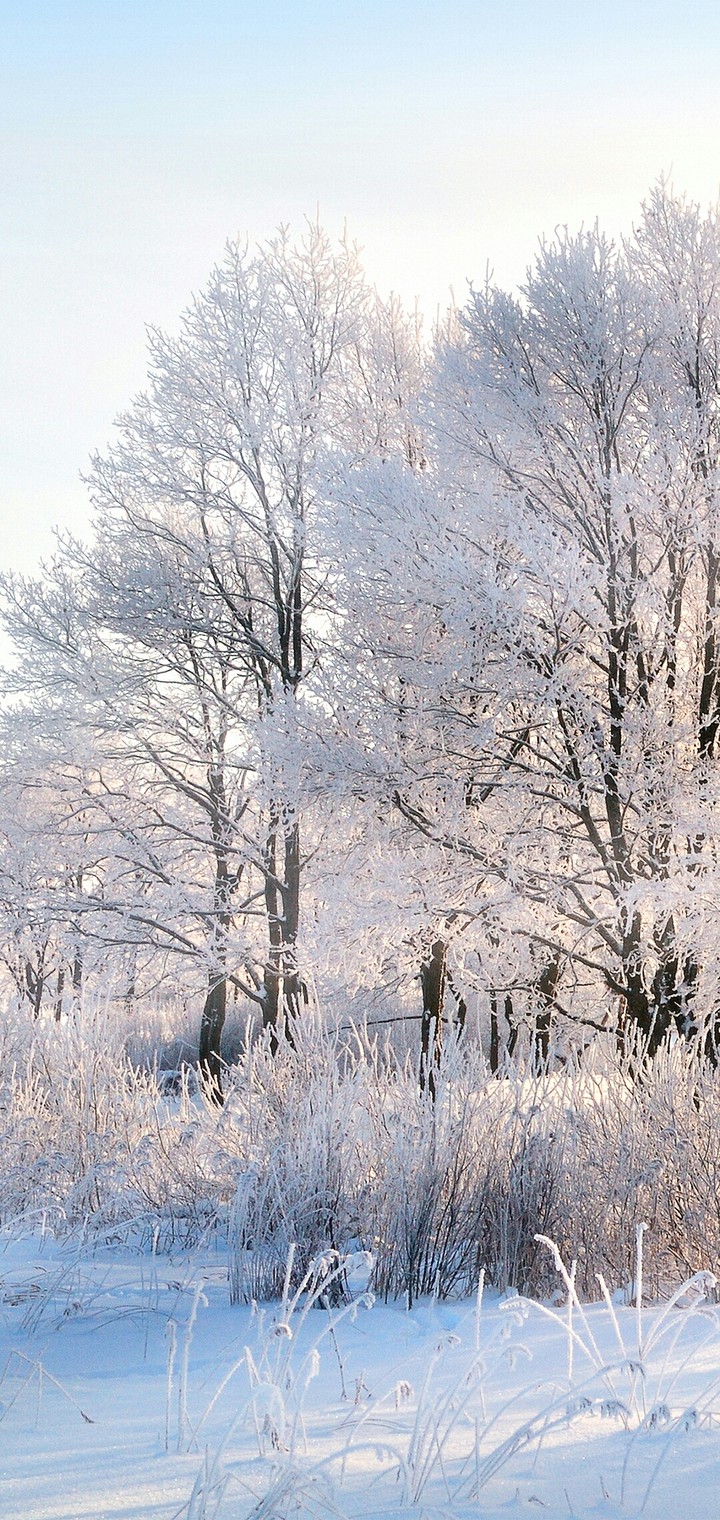 snow