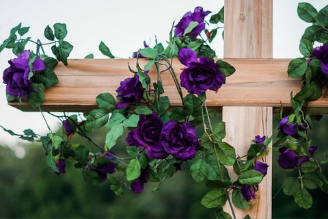 Decorative....