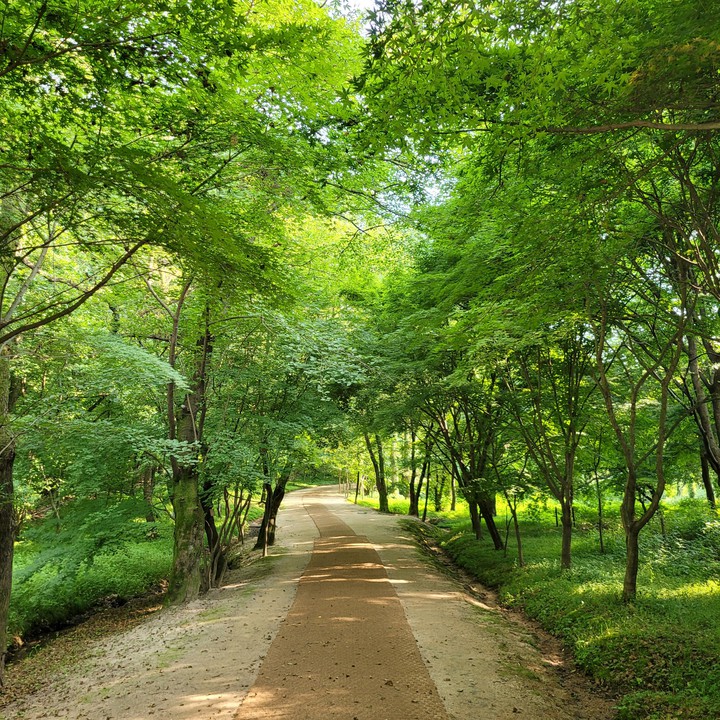 숲길