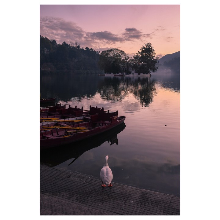 solitude