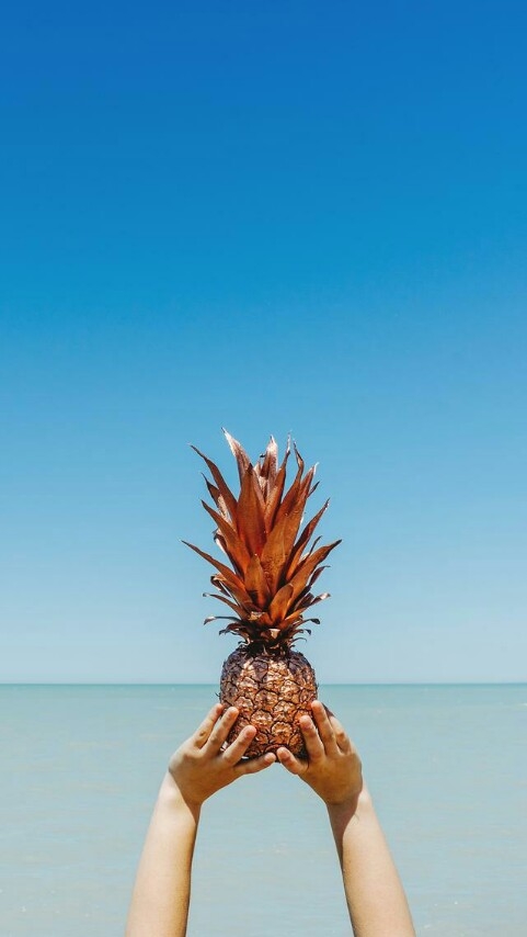 a pineapple
