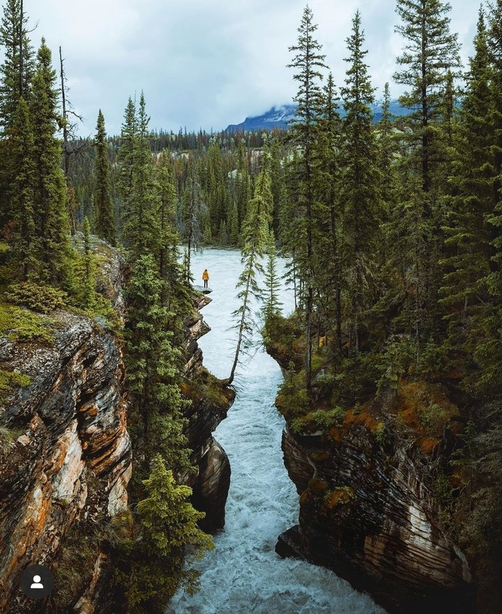 Nature in Canada❤