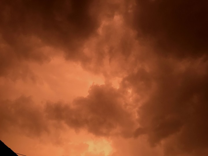 orangy evening