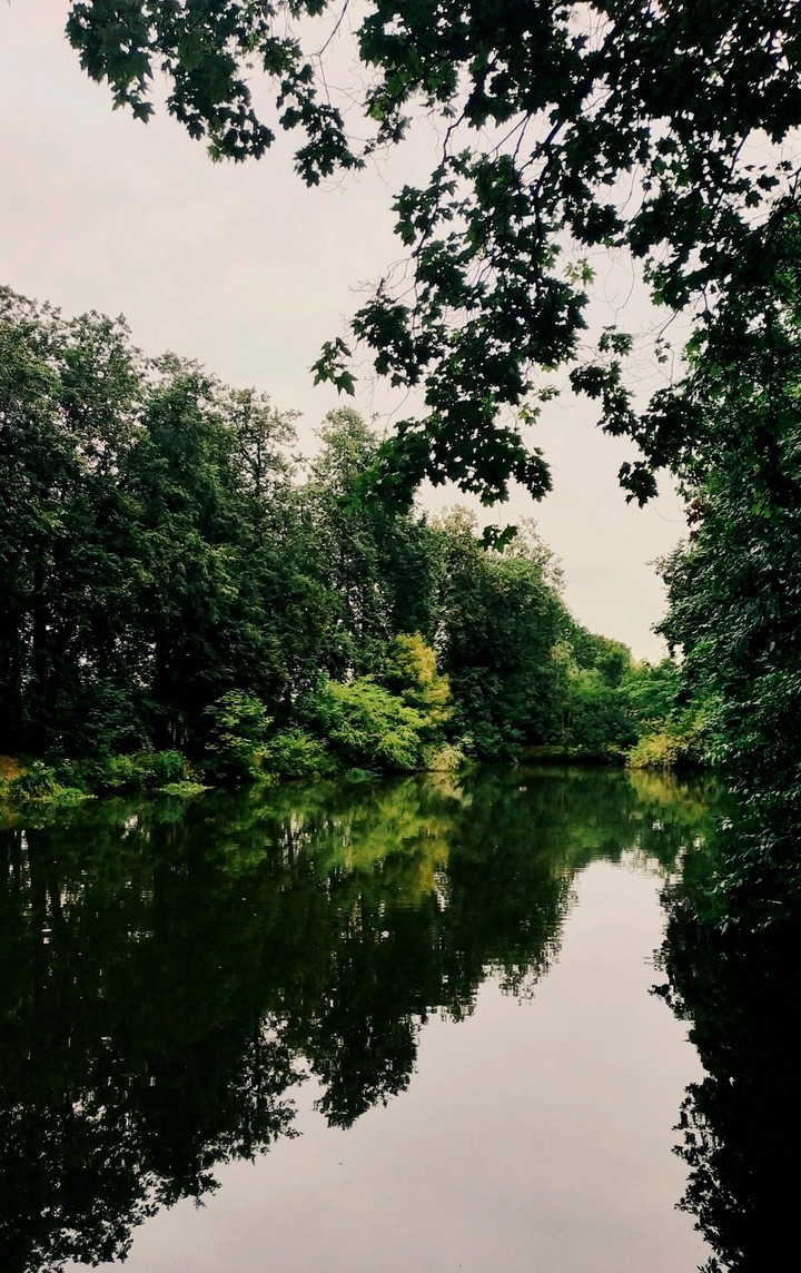 Perfect green