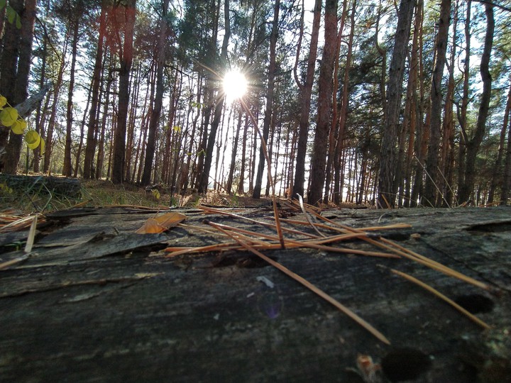 солнце
