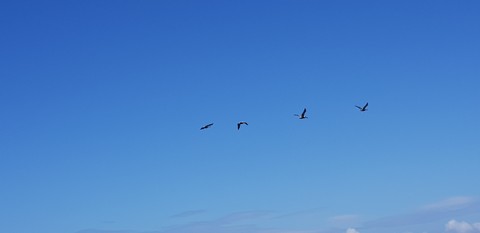 blue sky