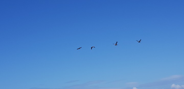 blue sky