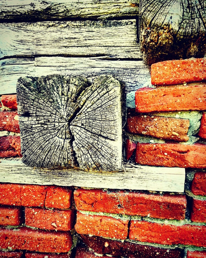 Bricks