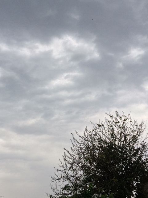 Rain awaits!