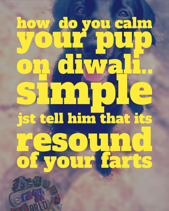 how do u calm ur pup....