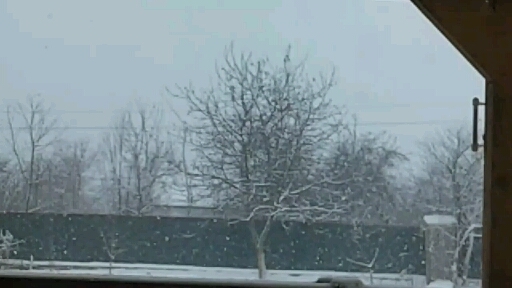 WINTER