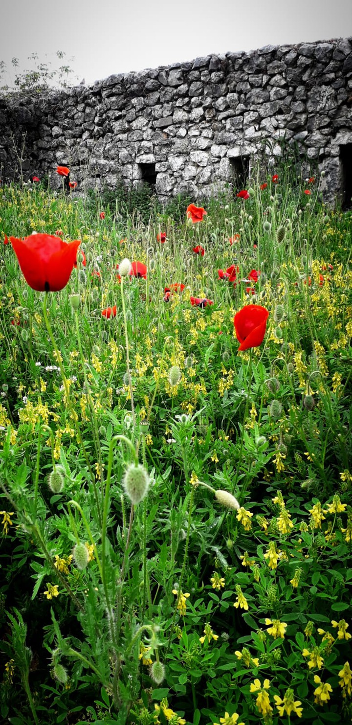 #nature