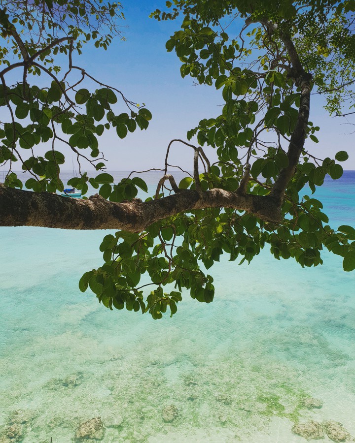 Paradise