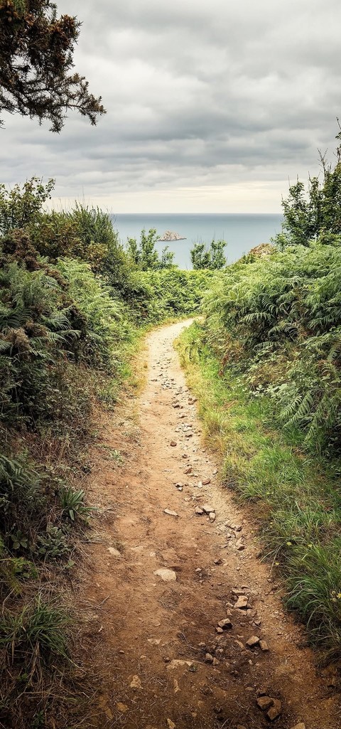 רקעים sunlight, trail