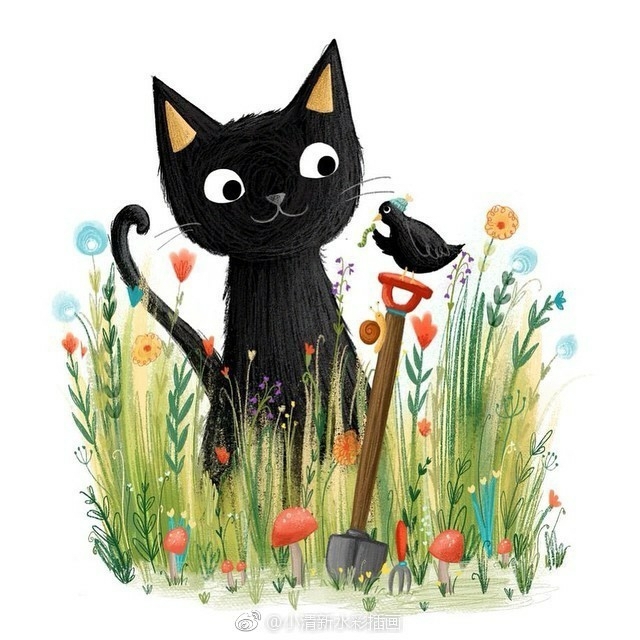 cat