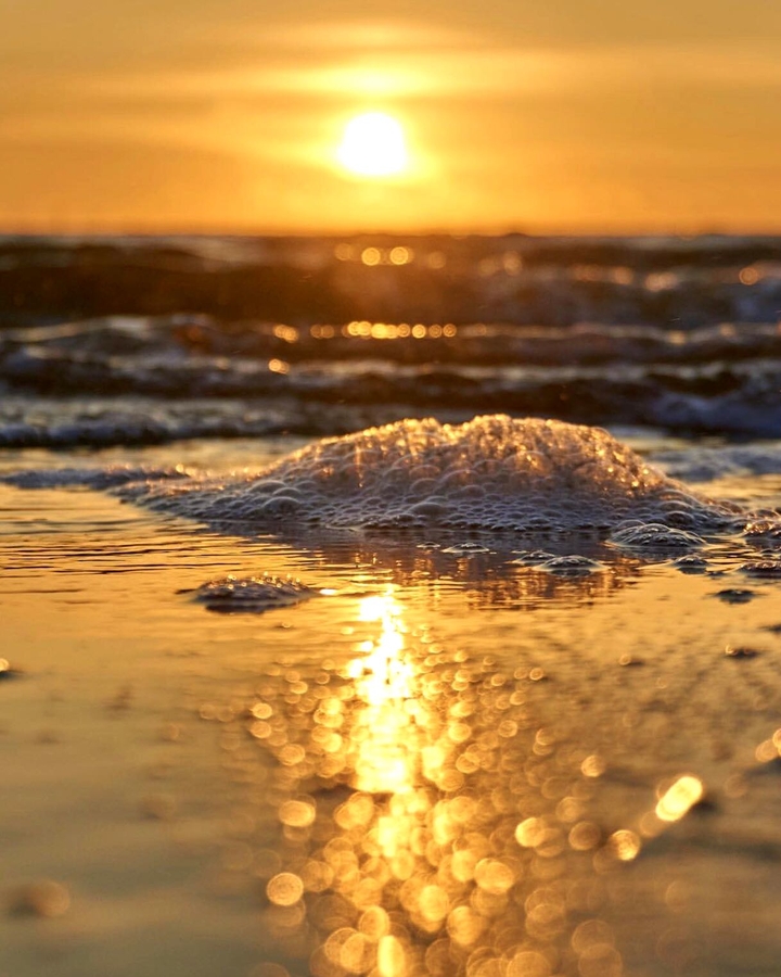sea