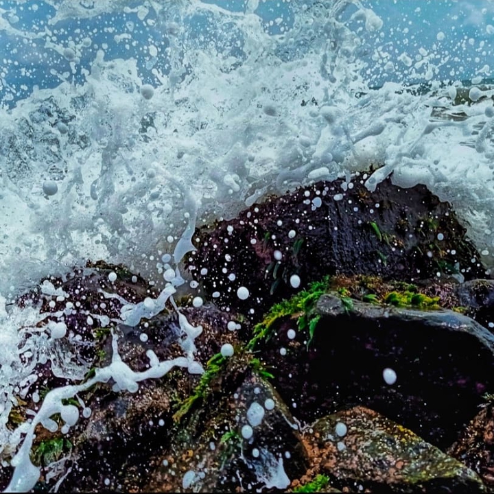 wave